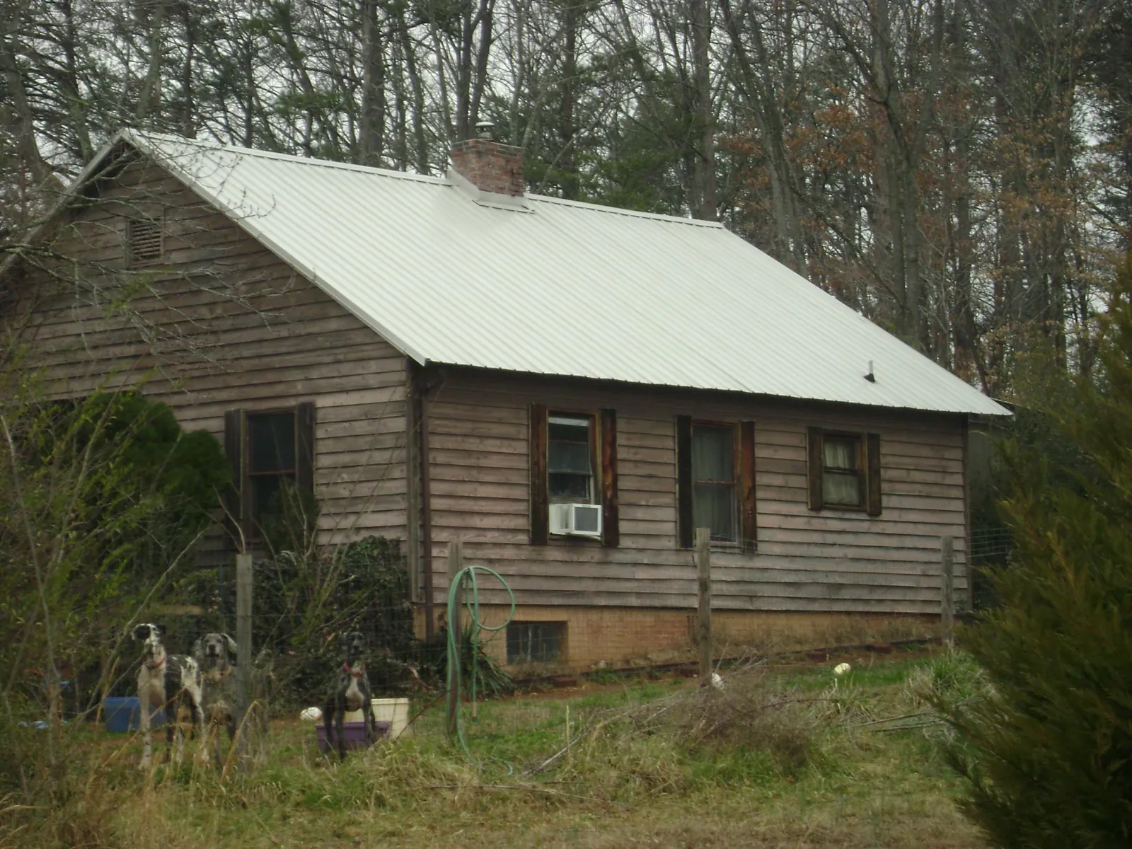 White metal roof on an old wood sided farmhouse, from a Asphalt Shingle Roof Repair job in West Alton